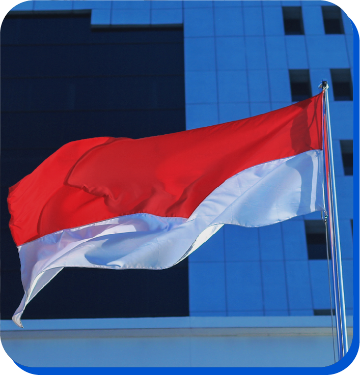 asset 8 asset 8