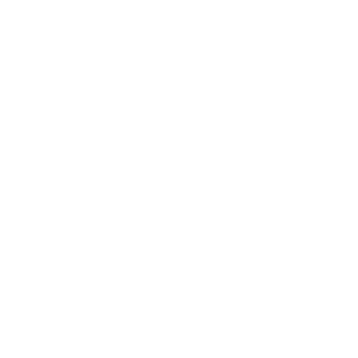 wheel 13